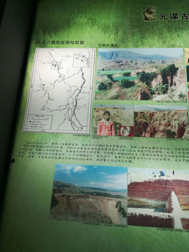元谋县元谋人博物馆序厅旅行图片 2
