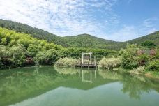 苏州旺山九龙潭风景区-苏州-夏吹夏夜风