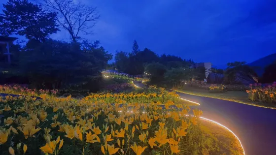 桌山花棲谷