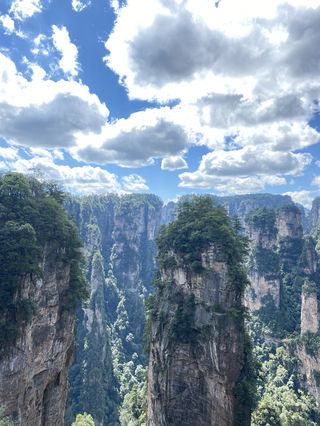 张家界:说走就走,张家界四天自由游