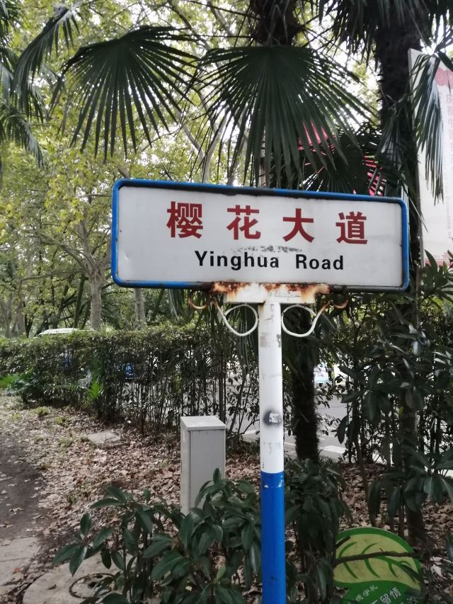 武汉大学信息学部-竹园旅行图片 1