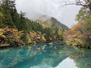 四川成都(网红打卡游)-黄龙风景区(2021第一场雪)-九寨沟(秋末绝美景致)