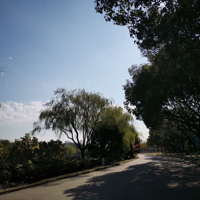 五溪文化广场旅行图片 1