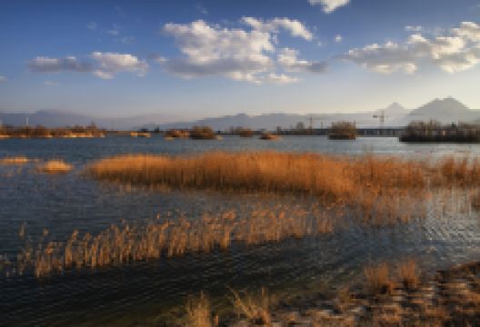 中济海公园景点图片