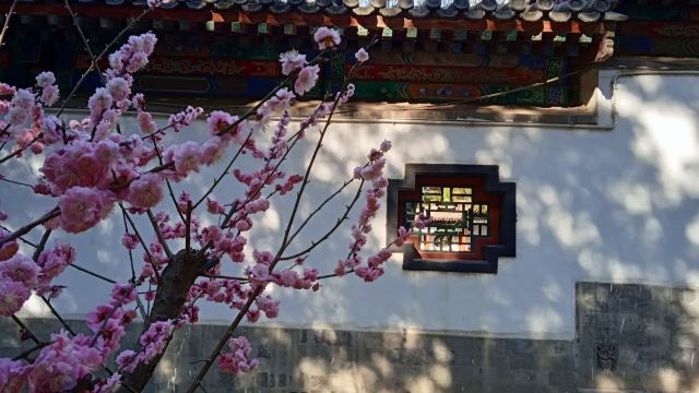地坛公园旅行图片 2