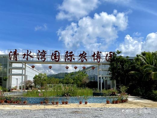 清水湾国际农博园