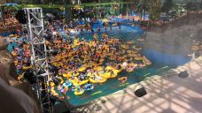 延吉-YoYo_5J6U4P4S