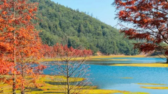 朱家山國家森林公園