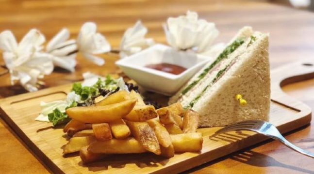 红树林·原咖啡RED Coffee·撸猫