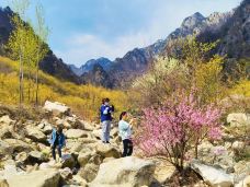 老界岭旅游度假区-西峡-C-IMAGE