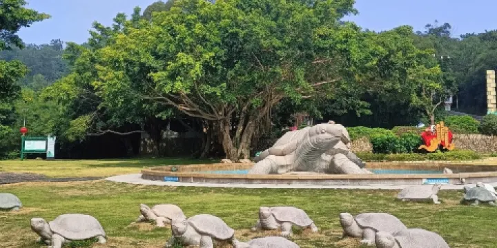 黃花山國家森林公園