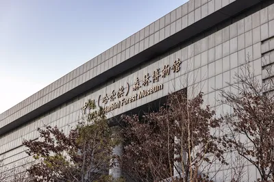中国哈尔滨森林博物馆