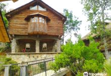 House and tree Tizoc景点图片