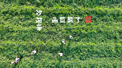 禹城游记图片] 山东黄河故道上小村庄，村民种西瓜个大且甜却很少有人知道？
