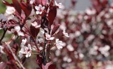 海柏公园-多伦多-q****ky