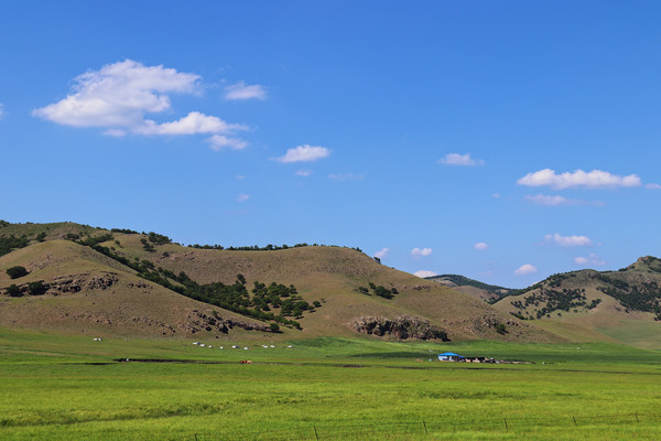 科右前旗，尽享夏日乌兰毛都大草原