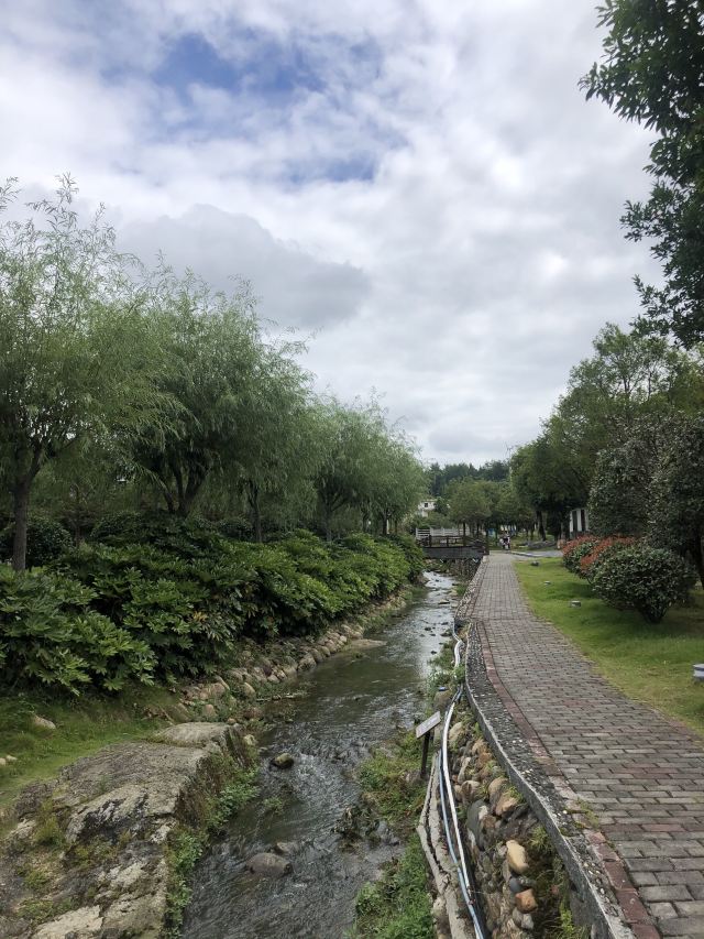 桂东植物园旅行图片 2