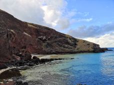 复活节岛-复活节岛-一只胖腊肠