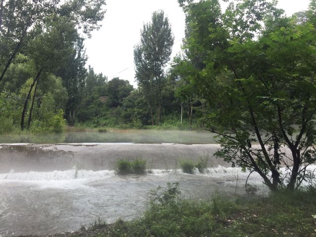 小天桥森林公园旅行图片 3