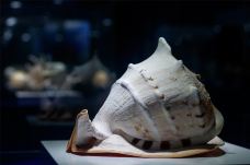 贝壳王国-秦皇岛-C-IMAGE