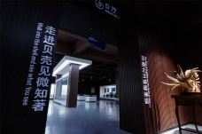 贝壳王国-秦皇岛-C-IMAGE