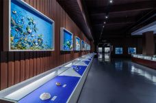 贝壳王国-秦皇岛-C-IMAGE