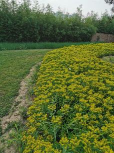 万寿公园-北京-YoYo_2W2Q3L5U