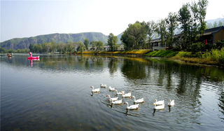 这里有美食、非遗文化和小桥流水人家