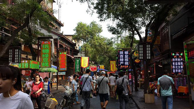 辞职后,谁能陪小编散散心?算了,还是独自来场说走就走的旅行吧