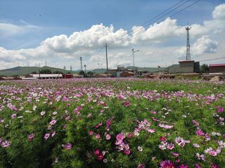 新草原天路（沽源段） 