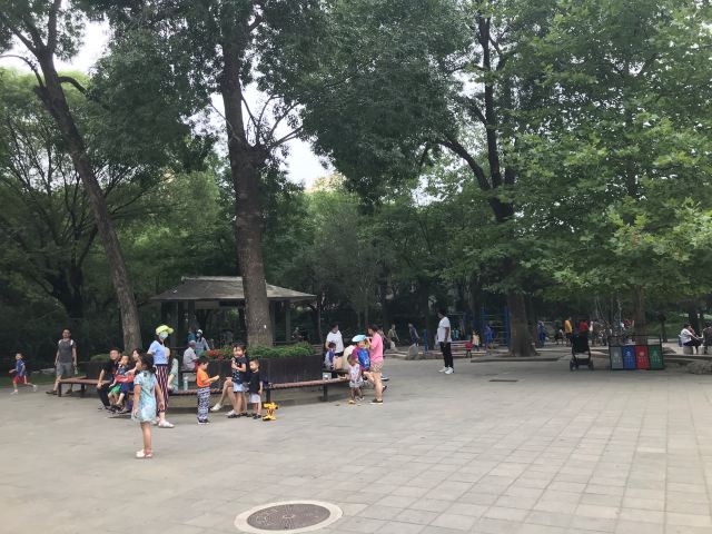 双秀公园旅行图片 14