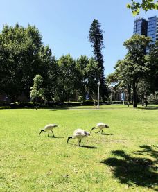 海德公园-悉尼-zhulei831230