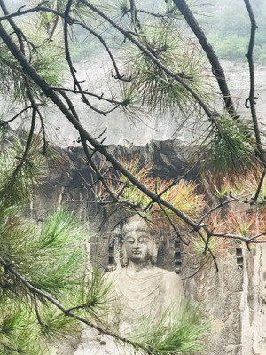 洛阳城记（一）在龙门石窟前感受时间的流动