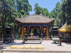 黄帝陵-黄陵-冀承烽