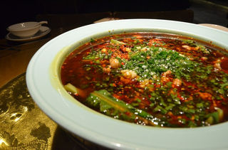 成都深度7日游,吃住行这里都有!