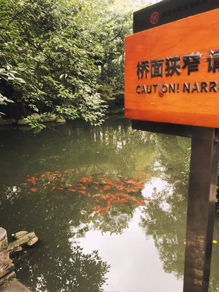 年少不入川，成都——一座来了就不想走的城市