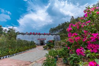 武汉人过七夕还在扎堆吗？何不来这里享受二人的私密时光