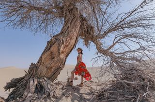 苍天般的阿拉善，藏着一片五彩斑斓的世界