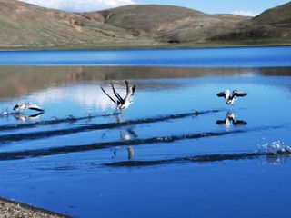 在这里可以“一措再措”, 唯一不能错过的是高反灵