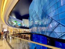 迪拜购物中心-迪拜-鱼老蓓