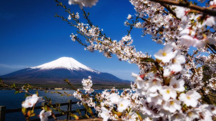 日本簡介