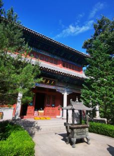 崂山风景区-青岛-观海听涛tour