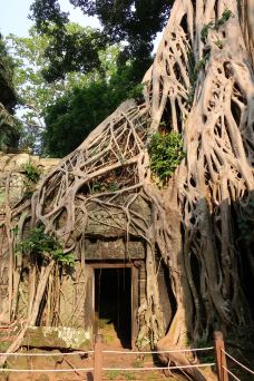 崩密列-Svay Leu-Oo西野司oO