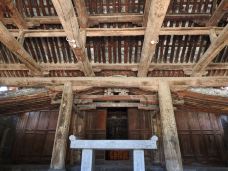 大禹庙-韩城-大松树叶子