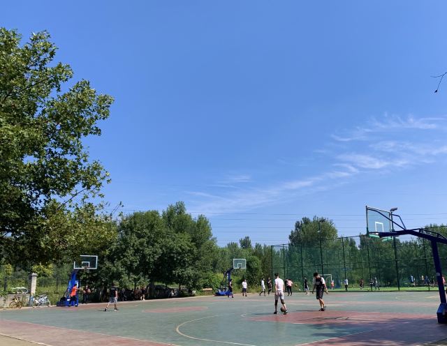 奥北森林公园二期北区旅行图片 2