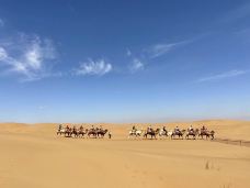 腾格里沙漠-阿拉善左旗-gz当地向导伊妹儿