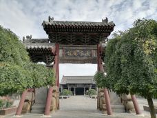 霍州署-霍州-大松树叶子