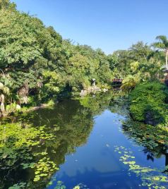 奥兰多游记图文-非典型的美东游，其实是去玩游乐场的