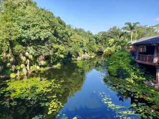 非典型的美东游，其实是去玩游乐场的