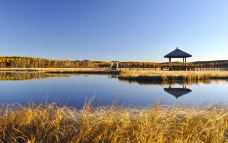 七星湖湿地公园-围场